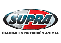 https://wpt.remiplat.com.uy/categoria-producto/marcas/supra/
